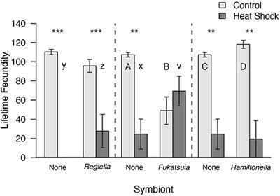 Aphid Facultative Symbionts Aid Recovery of Their Obligate Symbiont and Their Host After Heat Stress